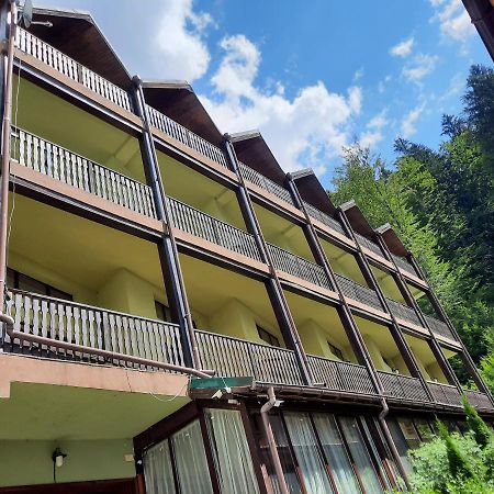 Ezio Casa Hotel Timişu de Jos Exterior foto