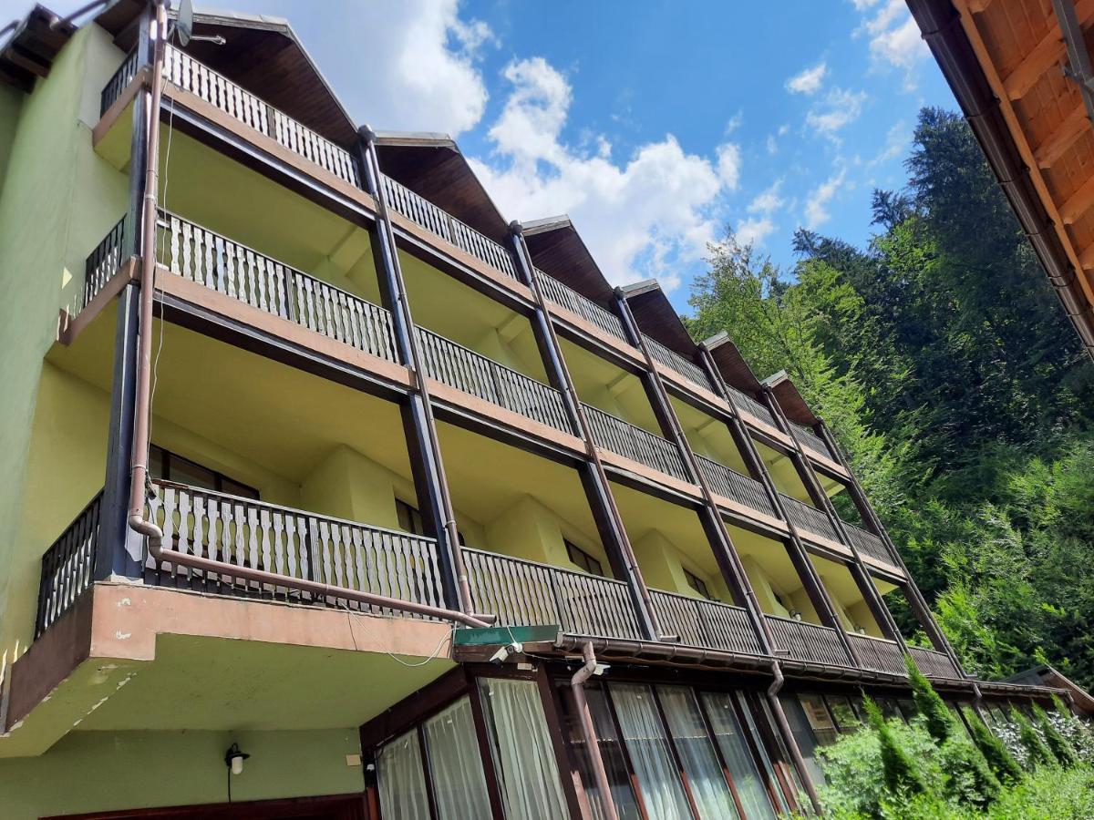Ezio Casa Hotel Timişu de Jos Exterior foto