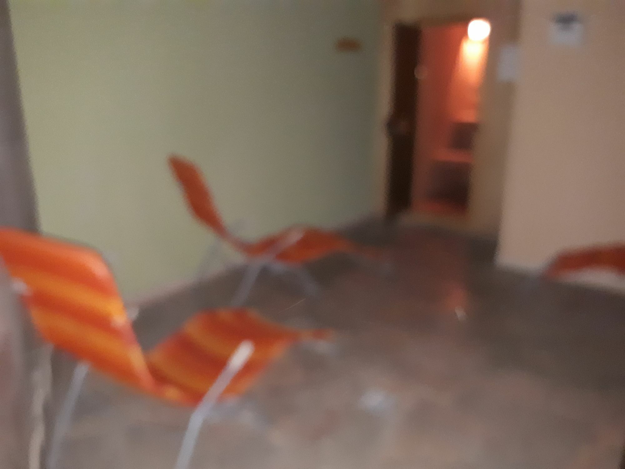 Ezio Casa Hotel Timişu de Jos Exterior foto